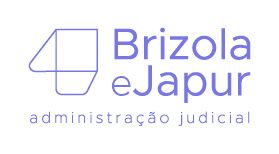 Administrador Judicial 02